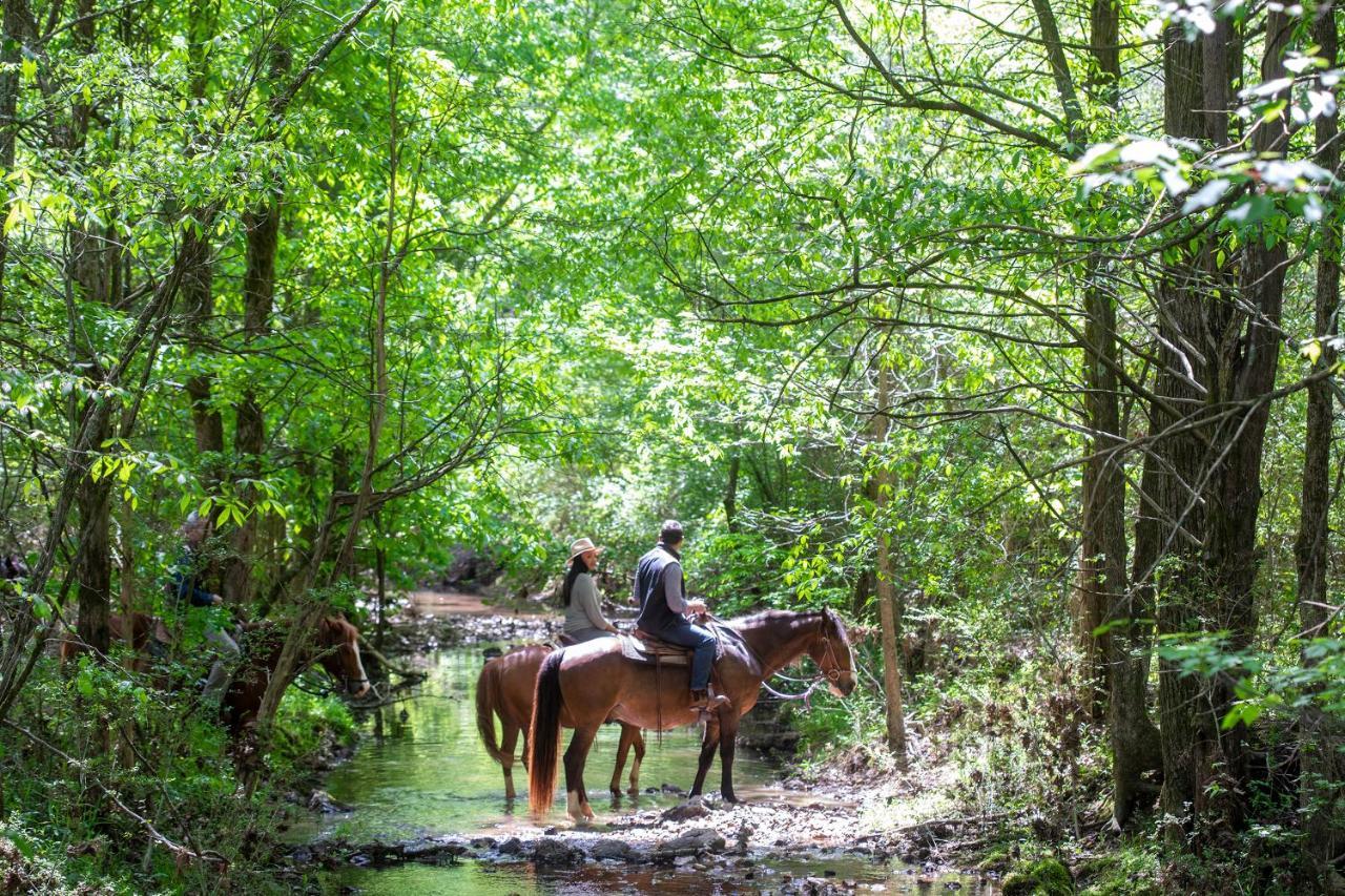 Barnsley Resort Adairsville Buitenkant foto