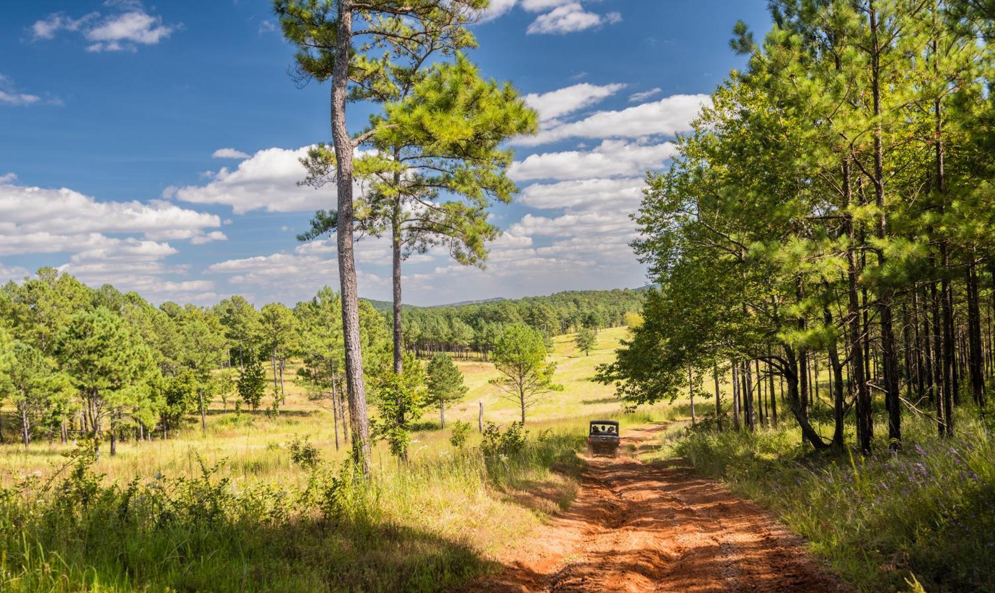Barnsley Resort Adairsville Buitenkant foto