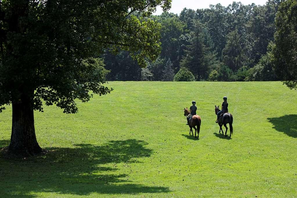 Barnsley Resort Adairsville Buitenkant foto